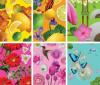Foto de Tana Clief-productos cosm�ticos
