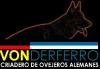 Foto de Criadero von der ferro-mascotas