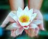 Foto de Javier (Reiki Master)-medicina alternativa
