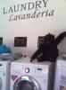 Foto de Laundry Center
