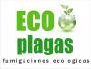 Foto de Eco plagas rosario